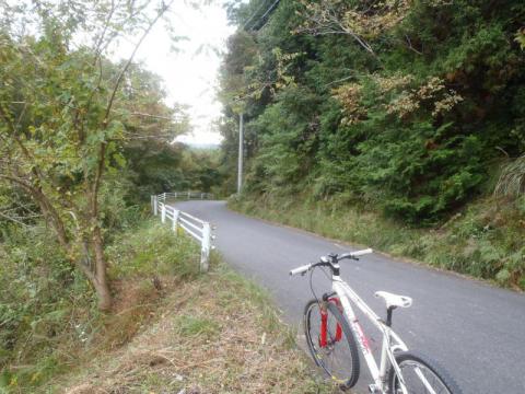 PB040486_convert_20121104184745.jpg