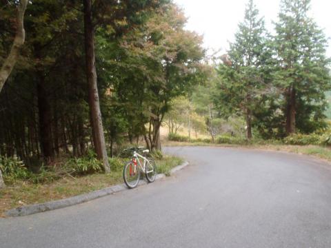 PB040494_convert_20121104185229.jpg