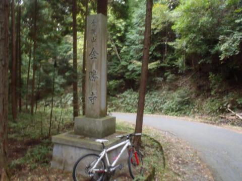 PB040495_convert_20121104185345.jpg