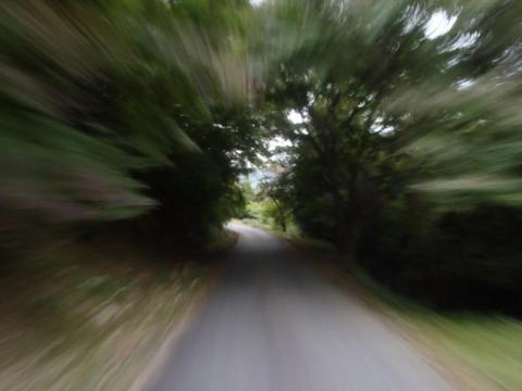 PB040499_convert_20121104185626.jpg