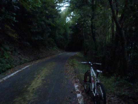 PB040504_convert_20121104185930.jpg
