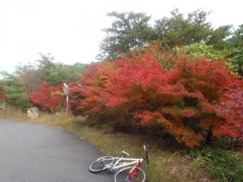 PB100517_convert_20121110183158.jpg