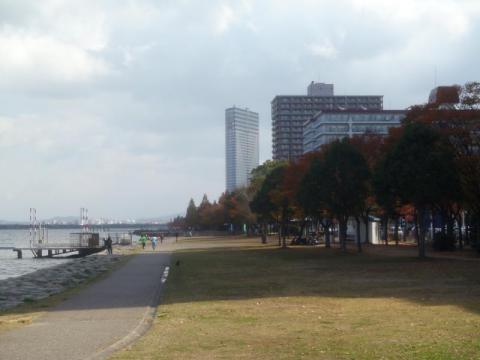 PB180565_convert_20121118183129.jpg