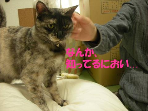 2012120501.jpg