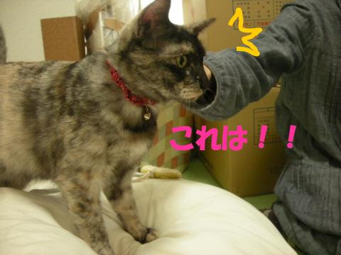 2012120502.jpg
