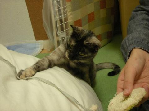 2012120503.jpg
