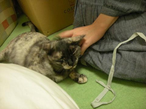 2012120504.jpg