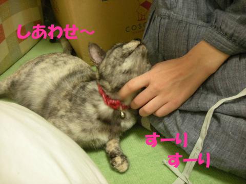2012120505.jpg