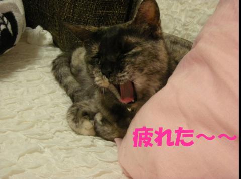 2012120704.jpg