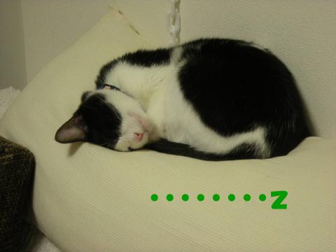 2012120705.jpg