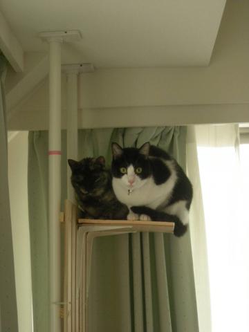 2012120707.jpg