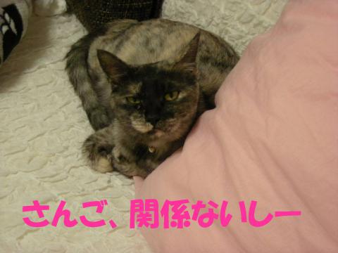 2012121105.jpg