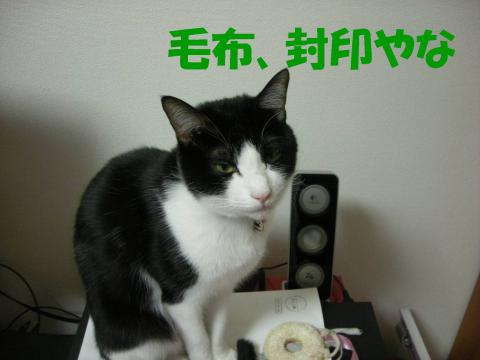 2012121108.jpg