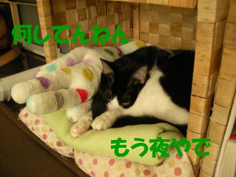 20121211.jpg