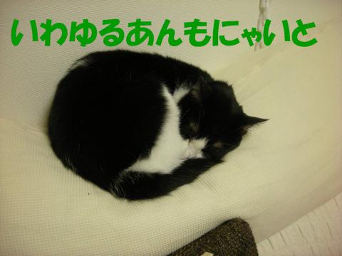 2012121503.jpg