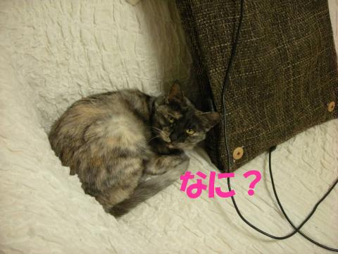2012121504.jpg