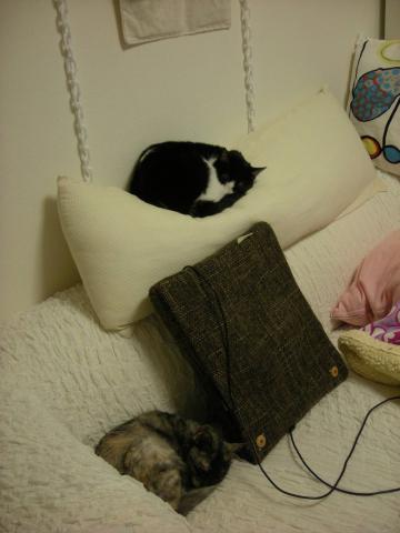 2012121505.jpg