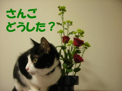 2012121902.jpg