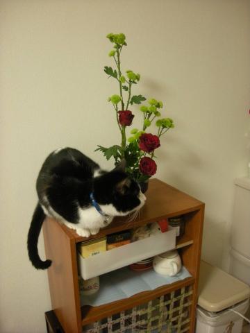 2012121903.jpg