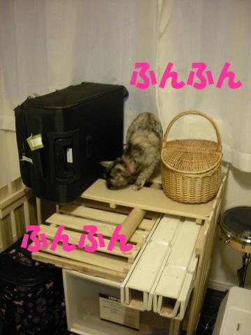 2012121905.jpg