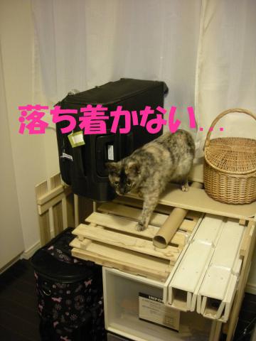 2012121906.jpg