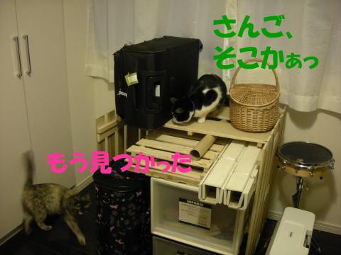 2012121908.jpg