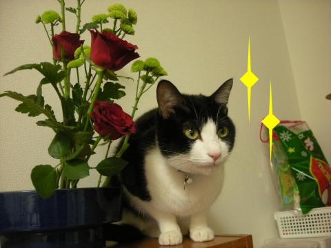 2012122101.jpg