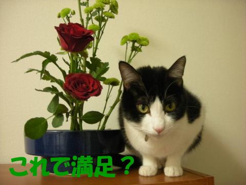 2012122102.jpg
