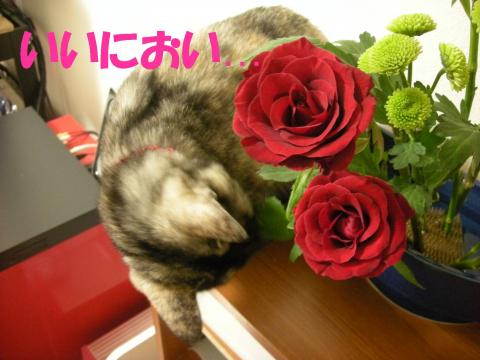 2012122103.jpg