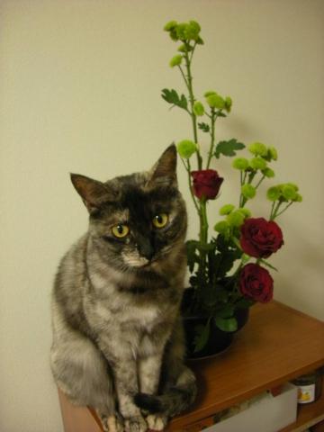 2012122104.jpg