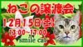 2012.12.15