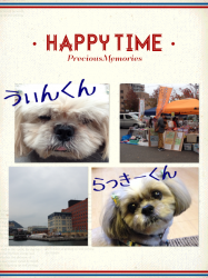 IMG_3250.png