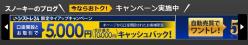 シストレ24タイアップ5000円上乗せ