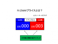 FX 2WAYプライスとは