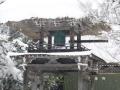 P1000050.JPG