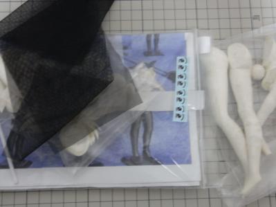 バニーフェイト 付属品