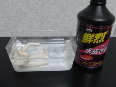バニーフェイトドボン
