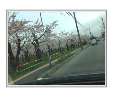 車中から