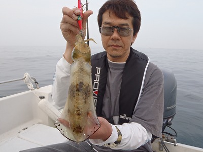 1204107.jpg