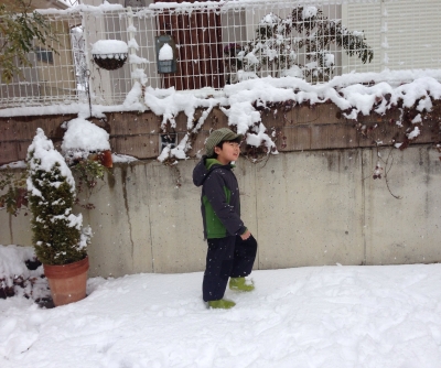 20140209144747e29.jpg