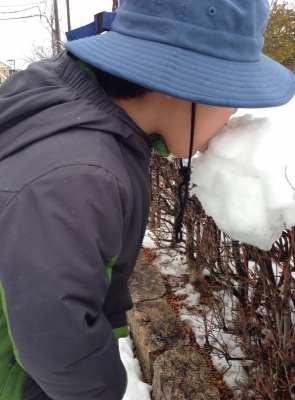 20140209144938154.jpg