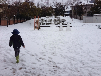 2014020914494216c.jpg