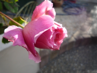 001_20141210204922b3f.jpg