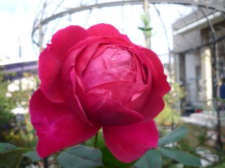 002_20141210204924d32.jpg