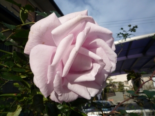 004_20141210204926dec.jpg