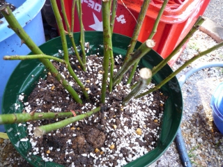 009_20141207103801cb6.jpg