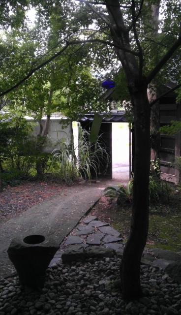 IMAG0468.jpg
