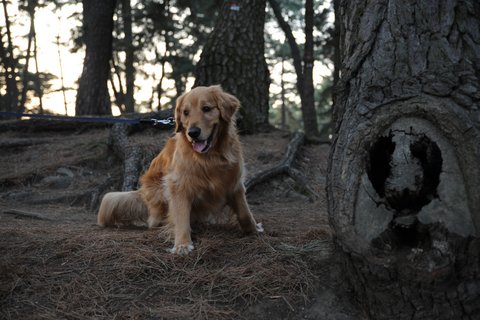 DSC_7680.jpg