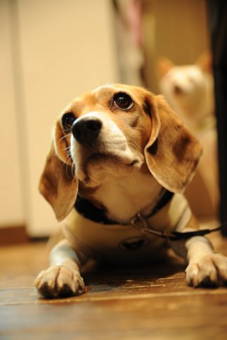 DSC_7911.jpg