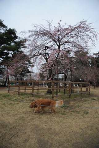 DSC_7998.jpg
